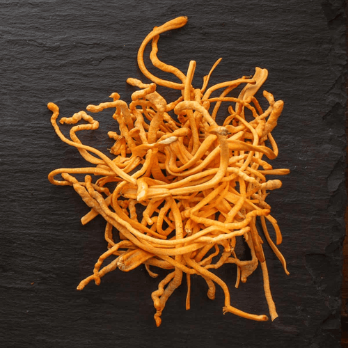 Cordyceps militaris, Powdered Fruiting Body