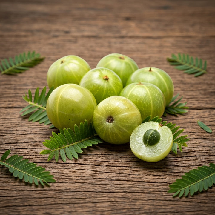 Fresh amla berries with the plant's feathery leaves, one fruit cut open