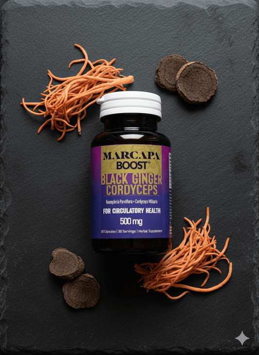 Marcapa Black Ginger bottle on dark slate, surrounded by dried cordyceps strands and sliced black ginger rhizome