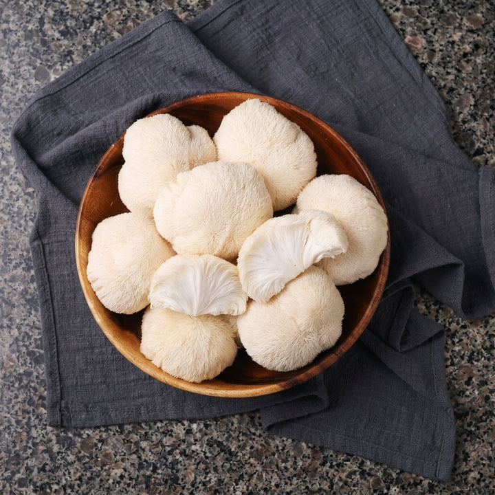Whole lion's mane mushroom fruiting bodies in a wooden bowl